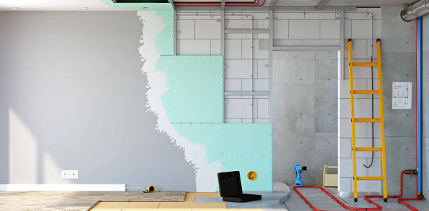 Best Forensic Mold Investigation  in Verona, WI