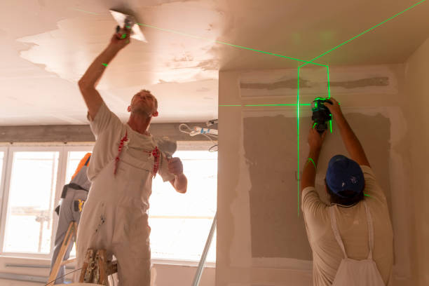 Best Water Damage & Mold Remediation  in Verona, WI