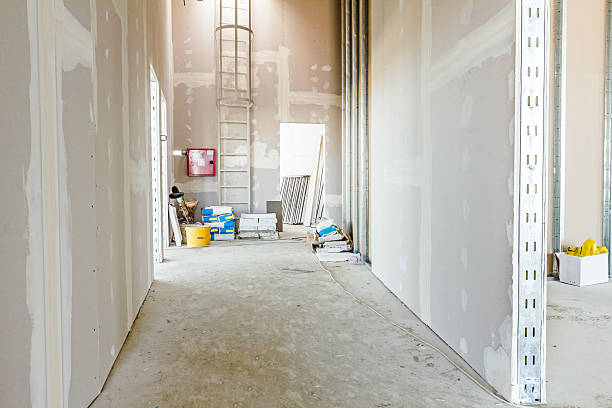 Best Dehumidification Services  in Verona, WI