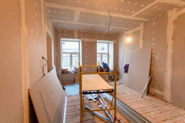 Best Emergency Mold Remediation  in Verona, WI
